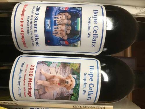 dog wine 90 right